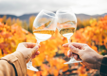 Traverse City Events